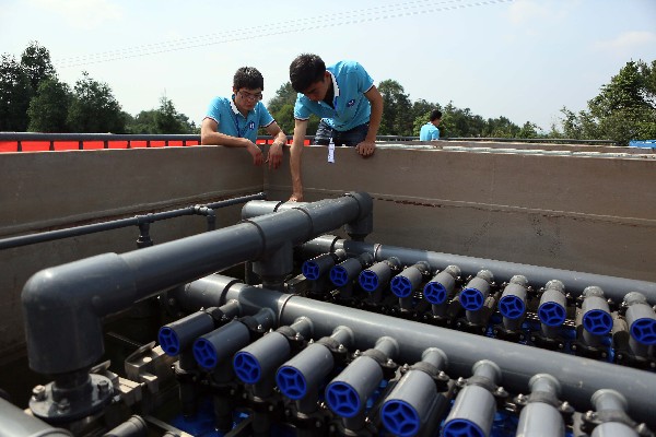 ����Ĥһ�廯��ˮ